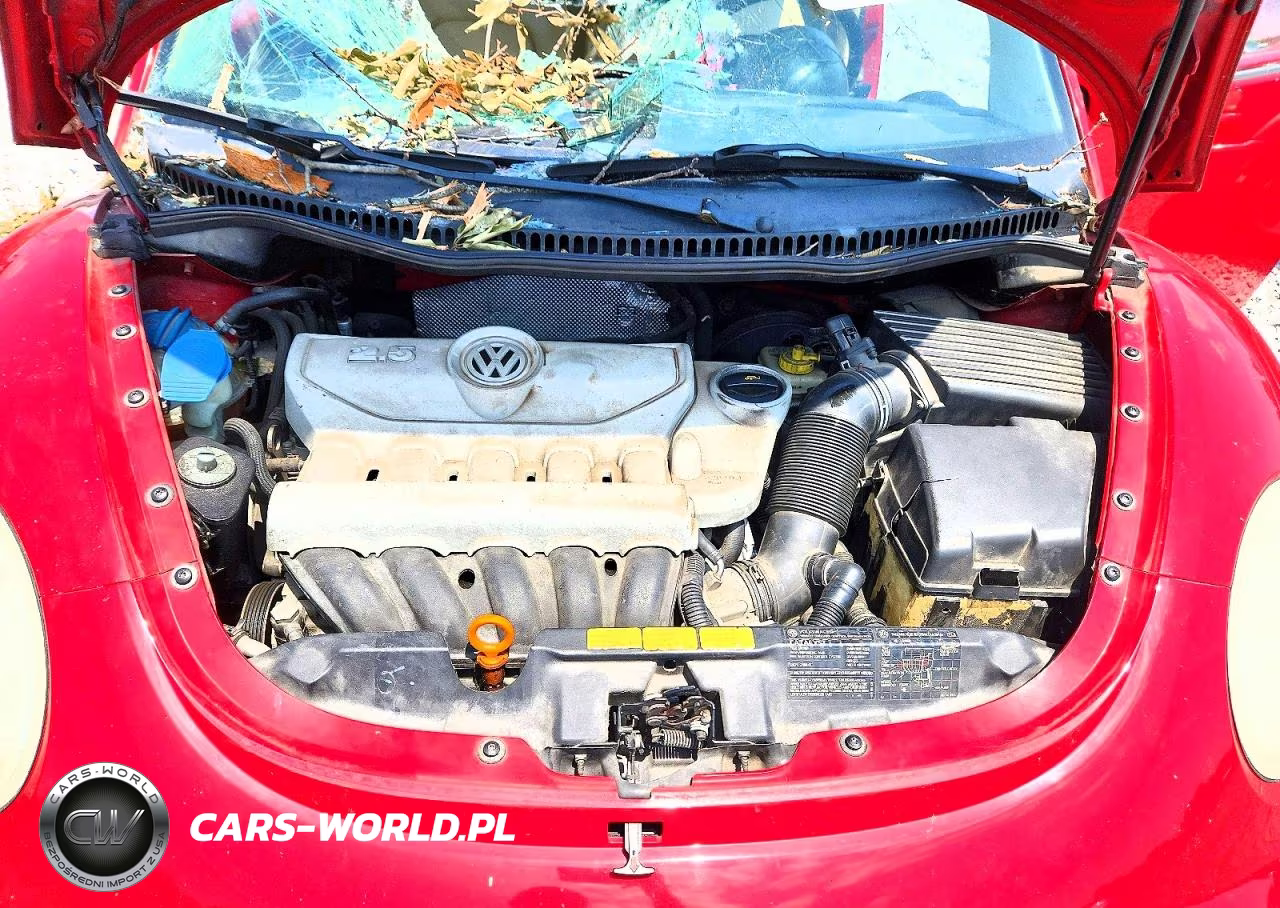 2006 Volkswagen New Beetle 2.5L Option Package 1 VIN:3VWRW31C36M417258 - 11