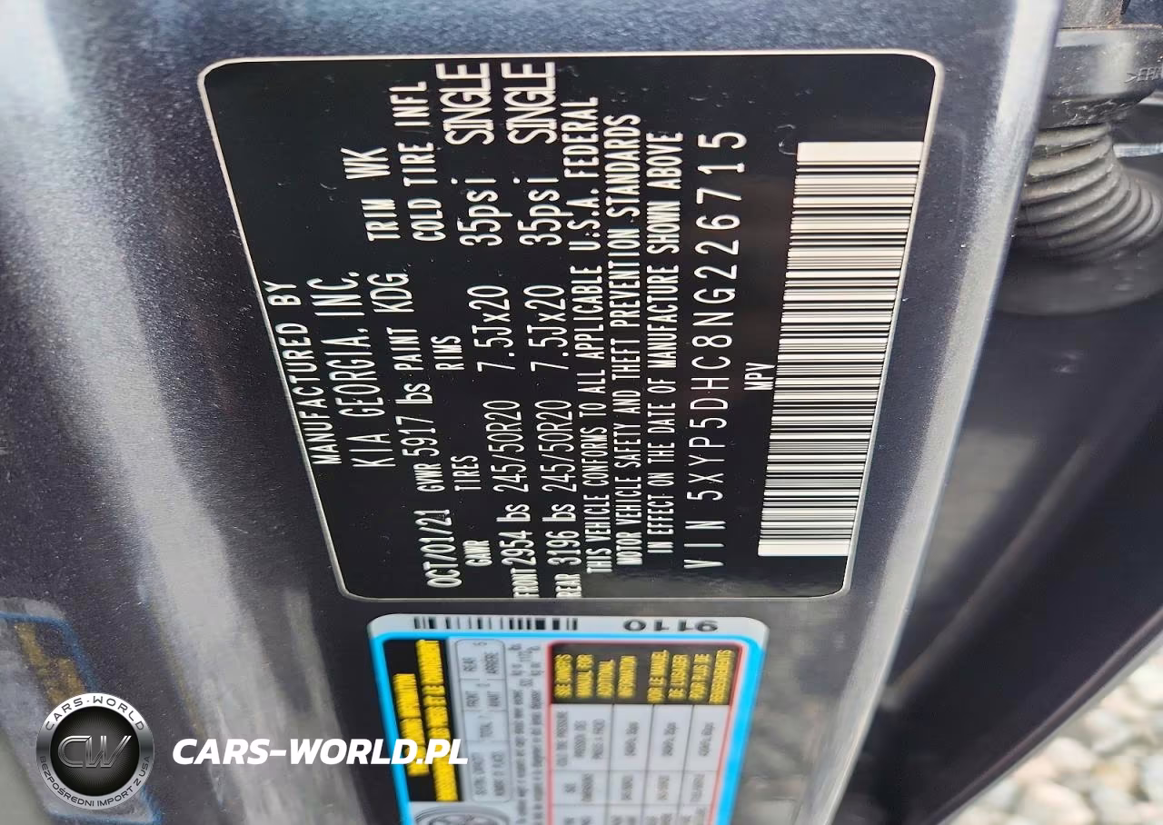 2022 Kia Telluride Sx VIN:5XYP5DHC8NG226715 - 13