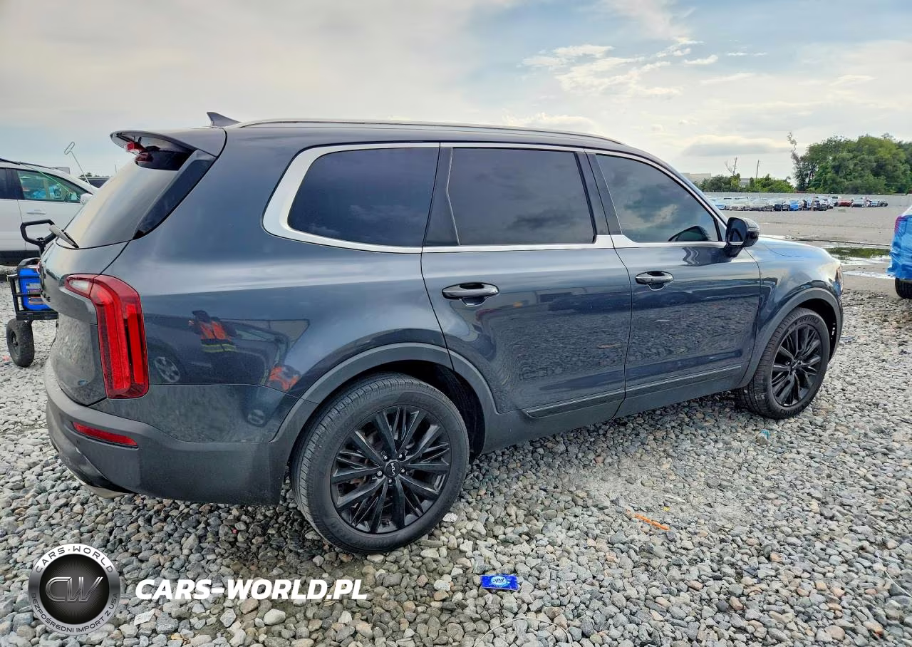 2022 Kia Telluride Sx VIN:5XYP5DHC8NG226715 - 3