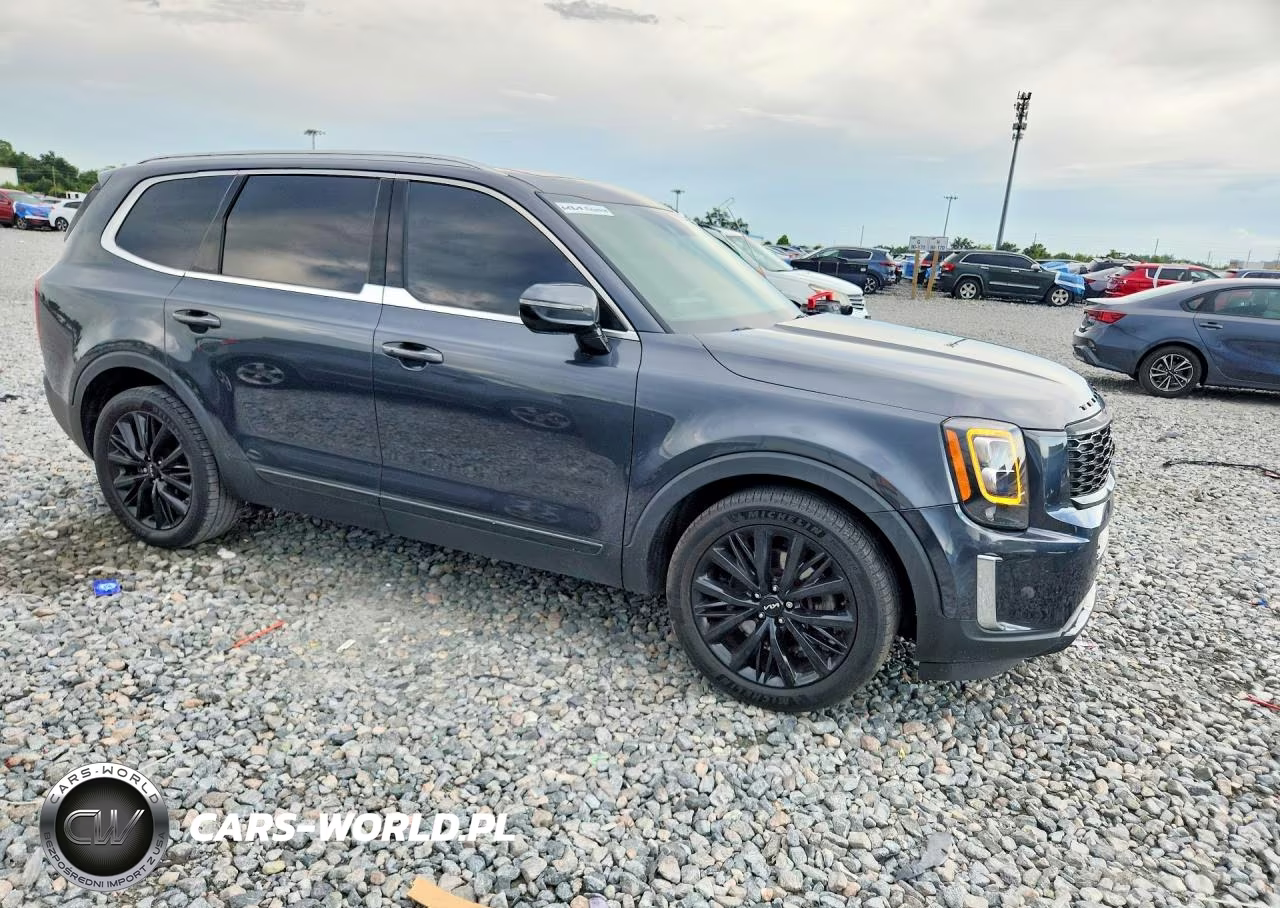 2022 Kia Telluride Sx VIN:5XYP5DHC8NG226715 - 4