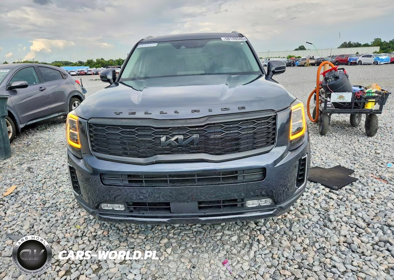 2022 Kia Telluride Sx VIN:5XYP5DHC8NG226715 - 5