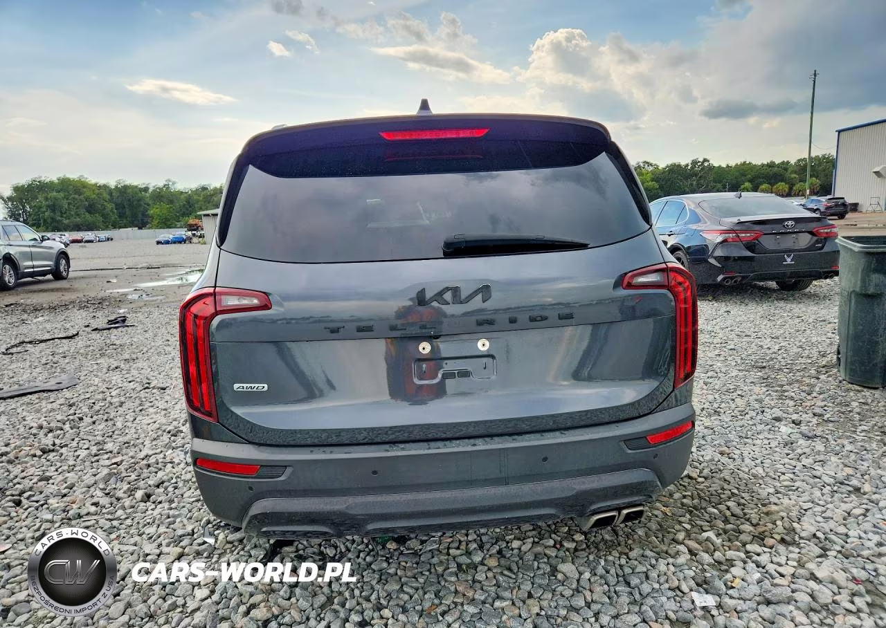 2022 Kia Telluride Sx VIN:5XYP5DHC8NG226715 - 6