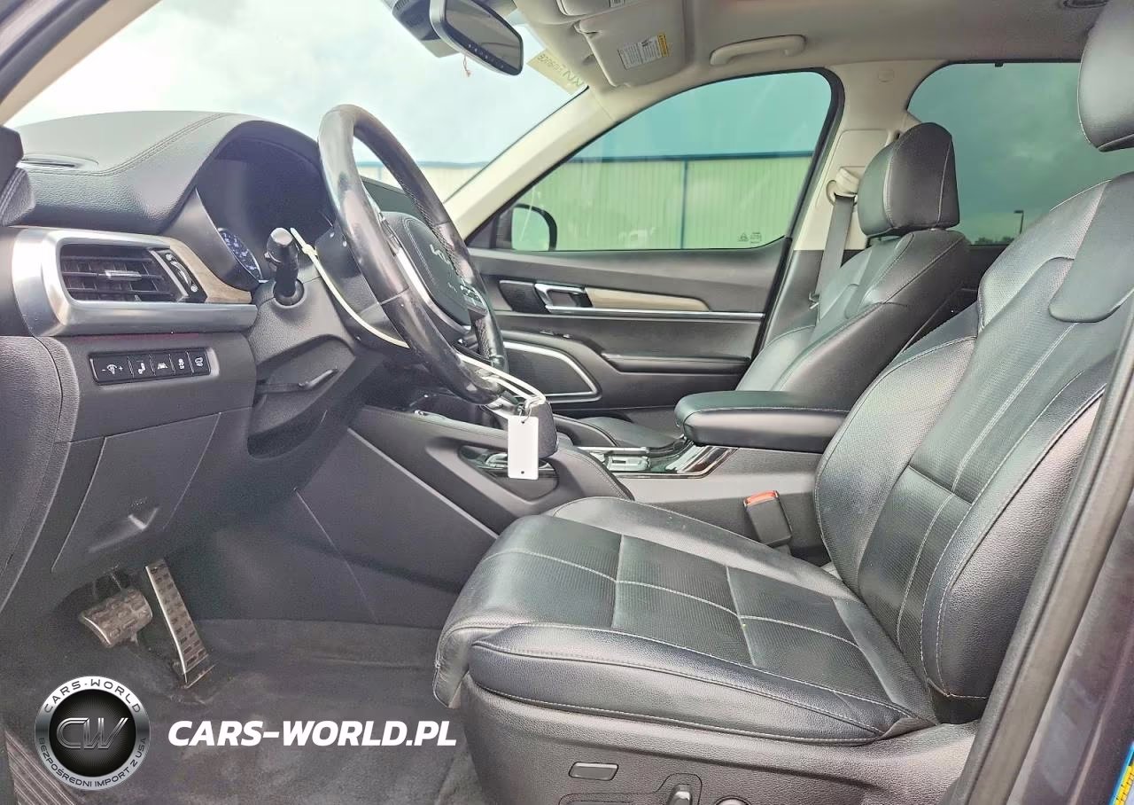 2022 Kia Telluride Sx VIN:5XYP5DHC8NG226715 - 7