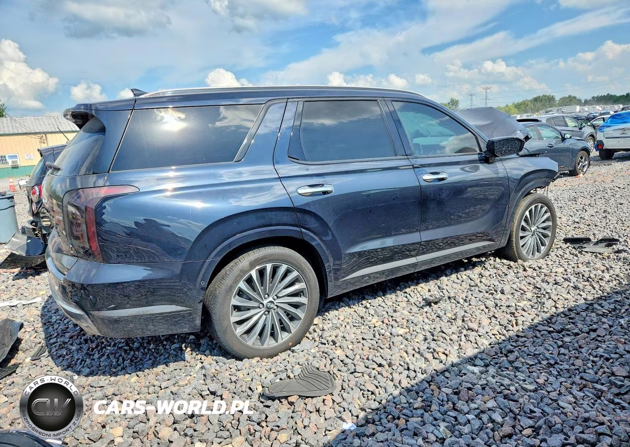 2024 Hyundai Palisade Calligraphy VIN:KM8R7DGE4RU757030 - 3