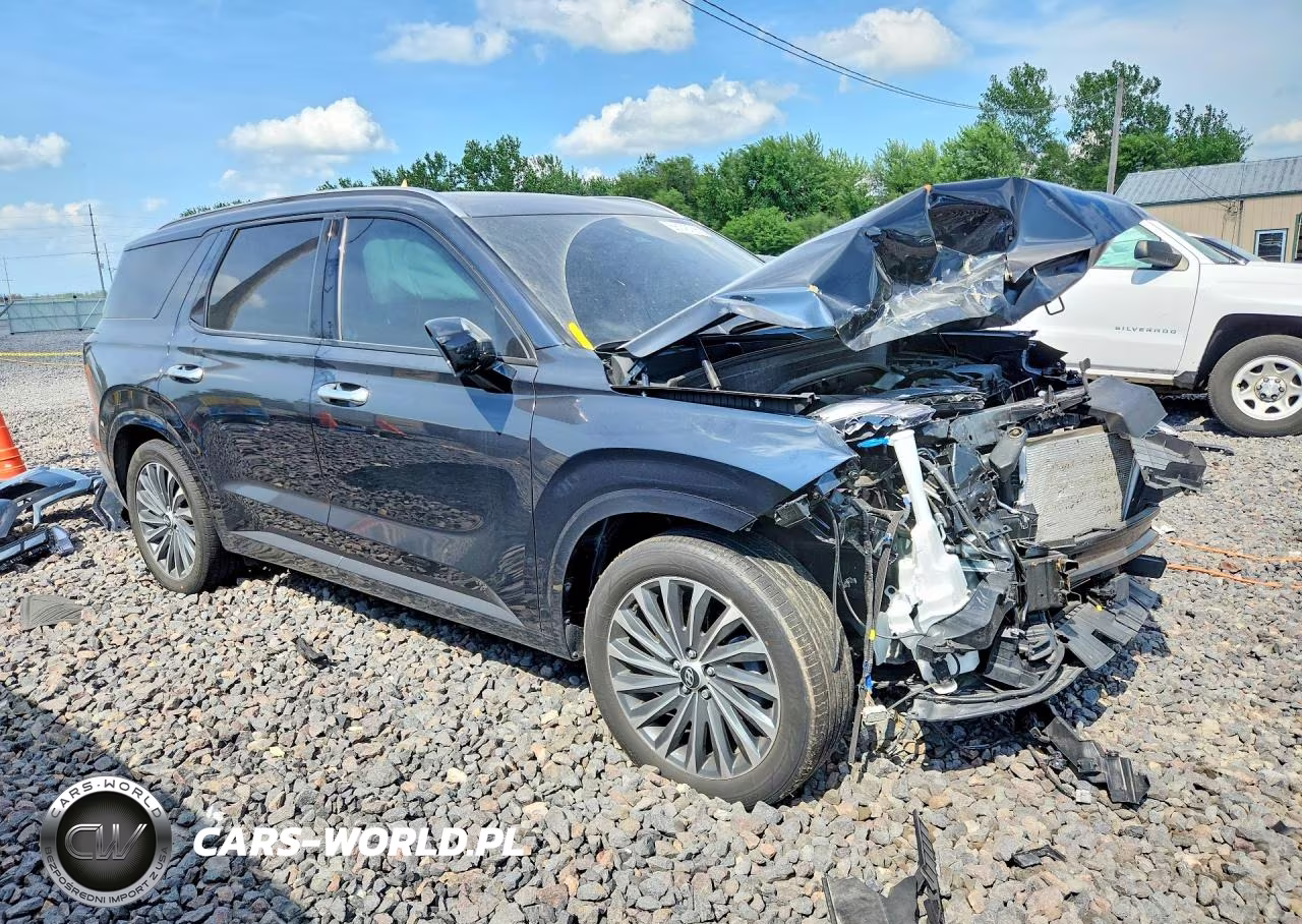2024 Hyundai Palisade Calligraphy VIN:KM8R7DGE4RU757030 - 4