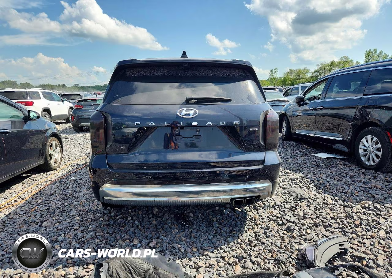 2024 Hyundai Palisade Calligraphy VIN:KM8R7DGE4RU757030 - 6