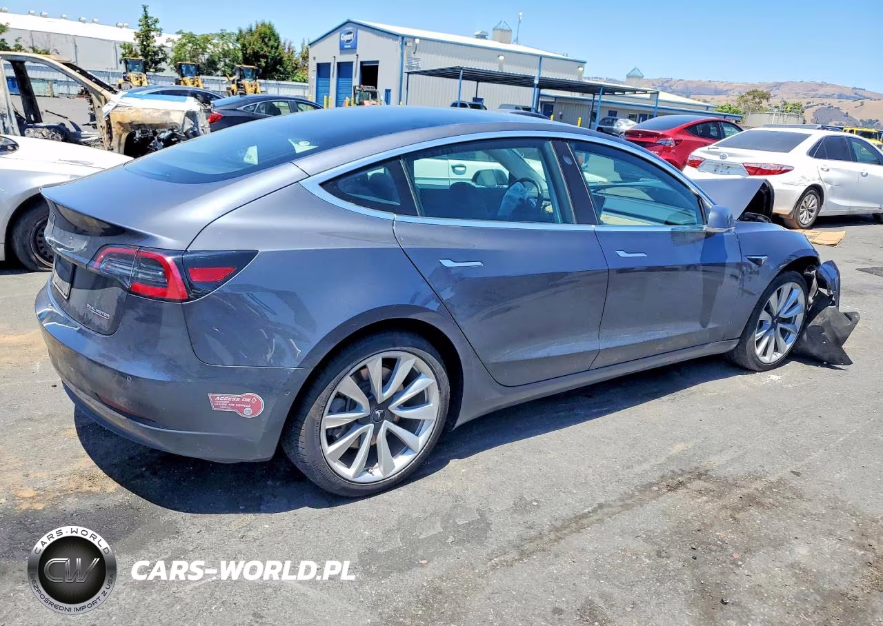 2019 Tesla Model 3 VIN:5YJ3E1EB0KF429545 - 3