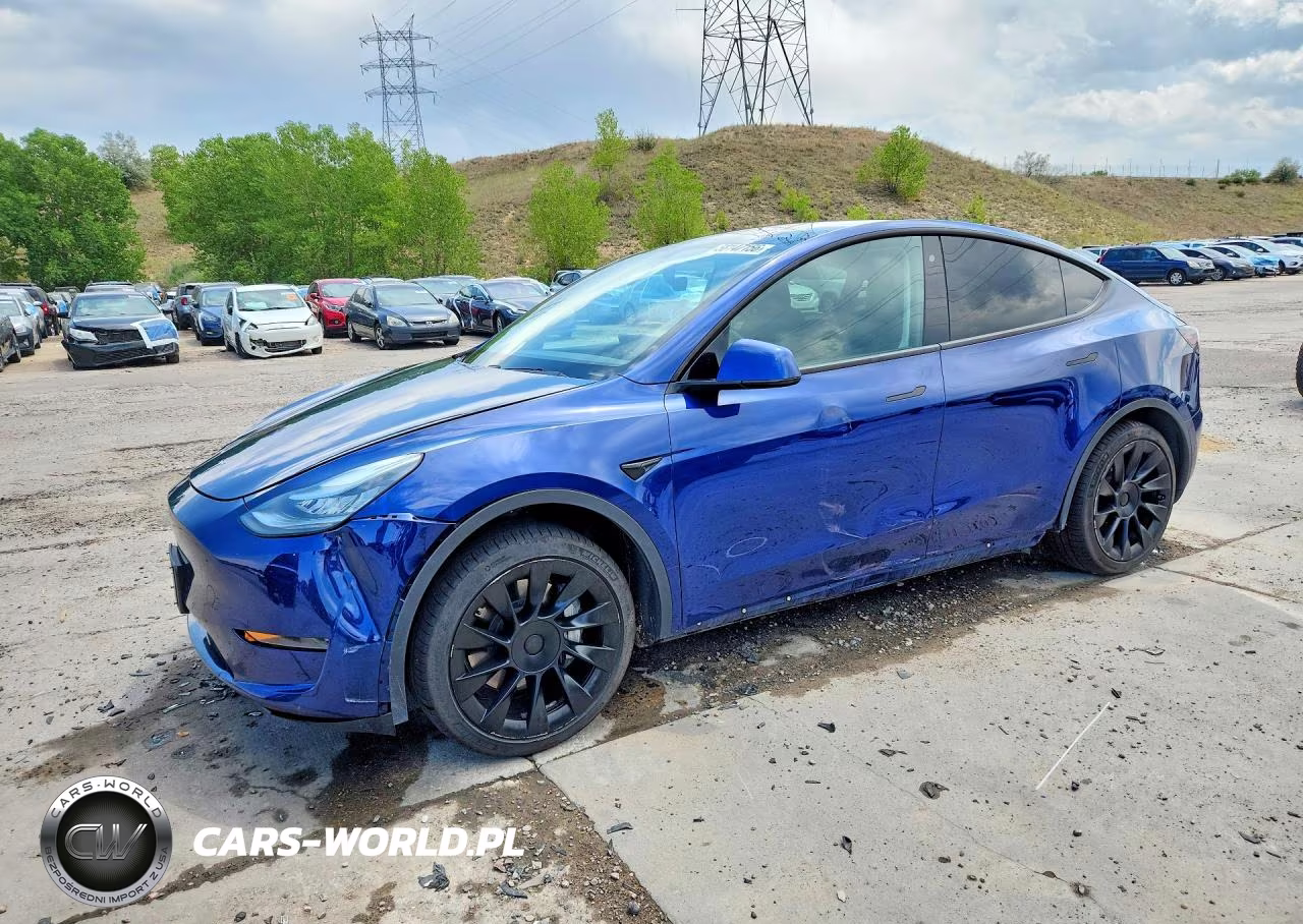 2020 Tesla Model Y