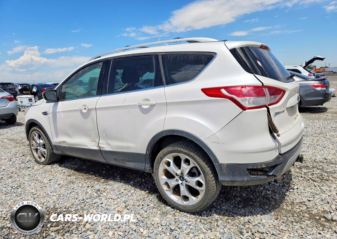 2013 Ford Escape Titanium VIN:1FMCU0J93DUD38159 - 2