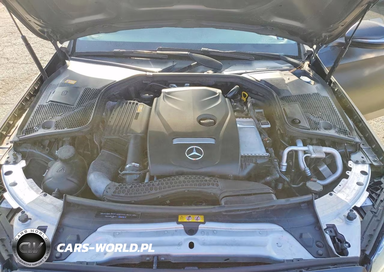 2016 Mercedes-Benz C 300 VIN:55SWF4JB9GU127632 - 11