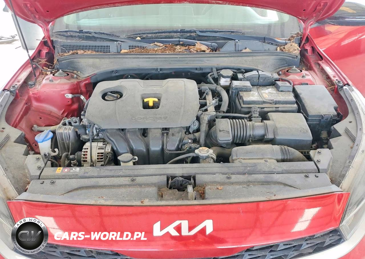 2022 Kia Forte Fe VIN:3KPF24AD7NE419006 - 11