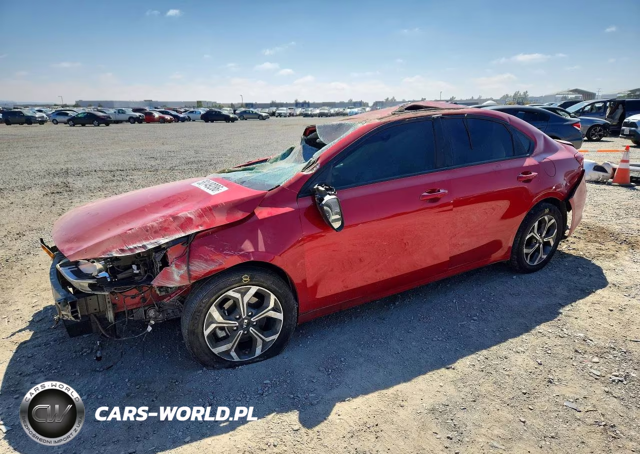 2019 Kia Forte Lxs