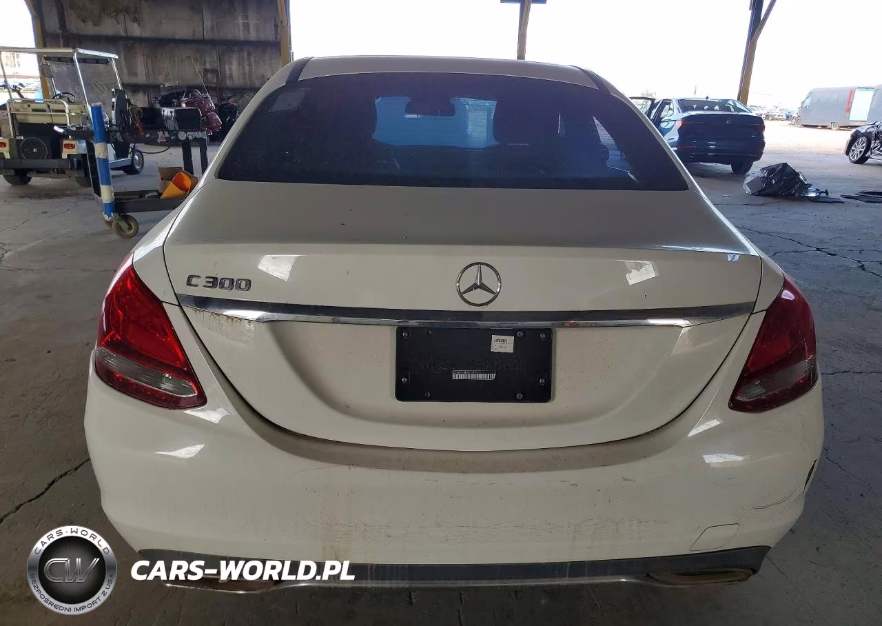 2017 Mercedes-Benz C 300 VIN:55SWF4JB5HU199977 - 7