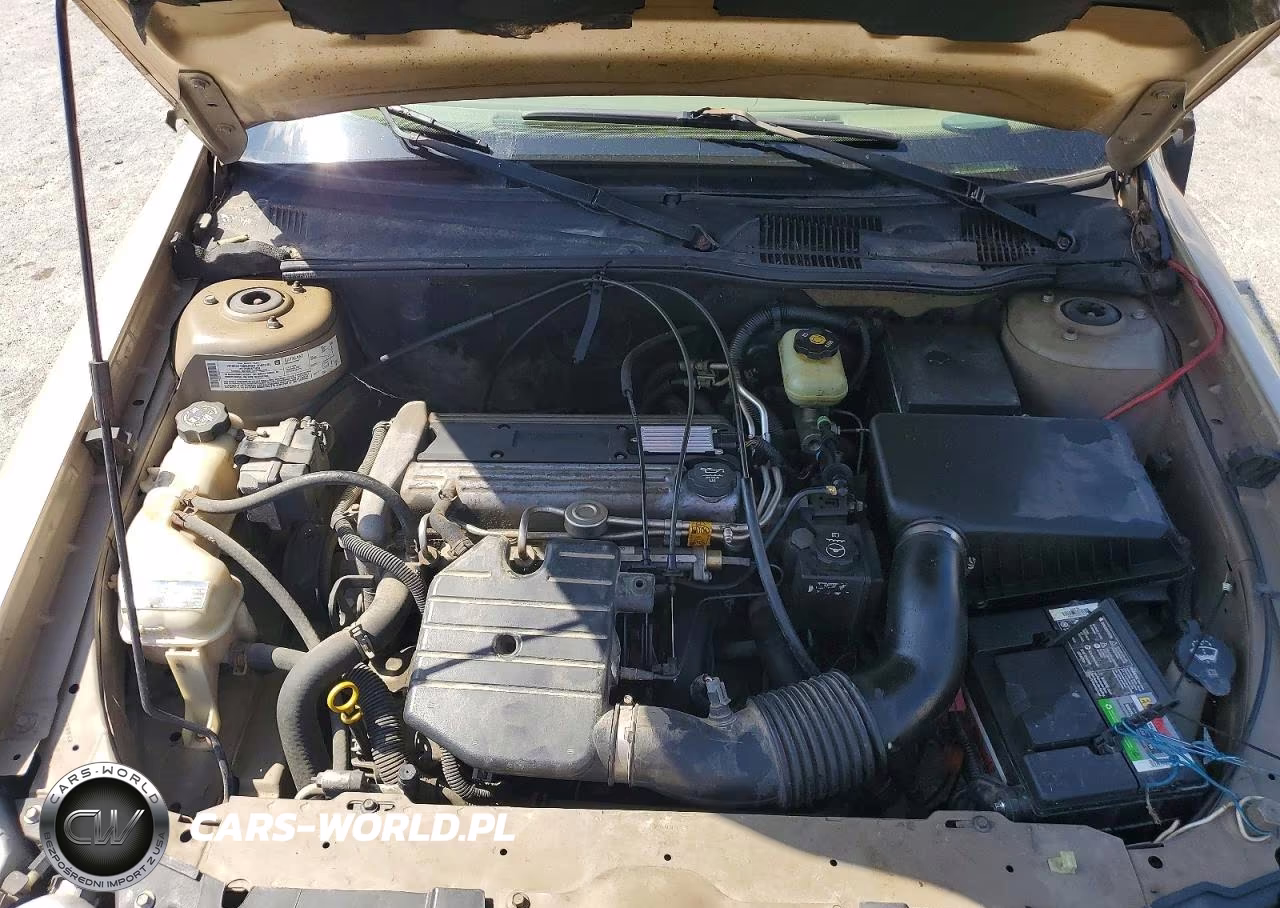 2004 Chevrolet Classic VIN:1G1ND52F34M623645 - 11