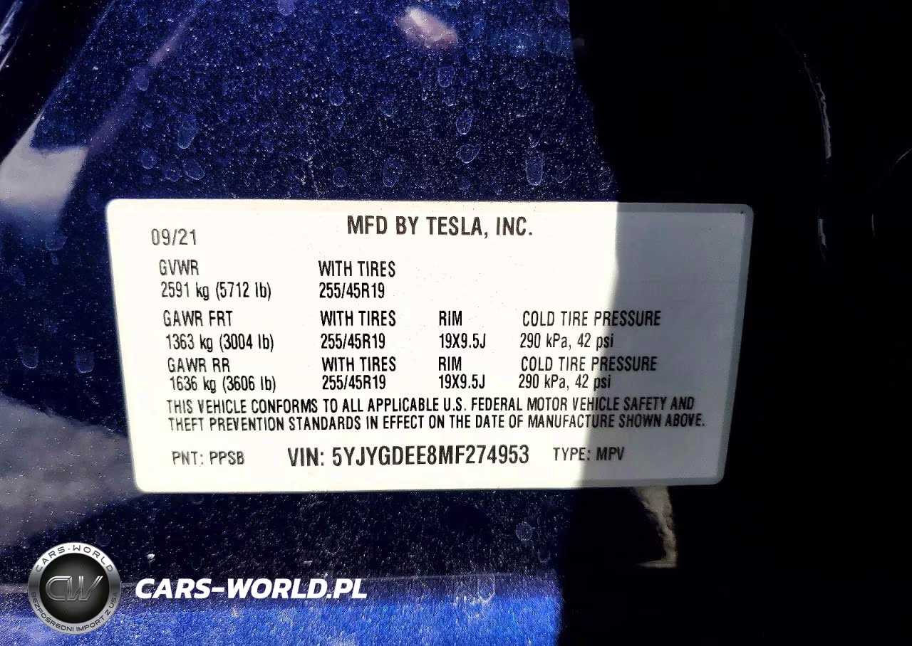 2021 Tesla Model Y VIN:5YJYGDEE8MF274953 - 13