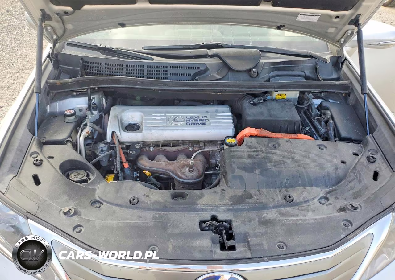 2010 Lexus Hs 250H VIN:JTHBB1BA6A2034110 - 11