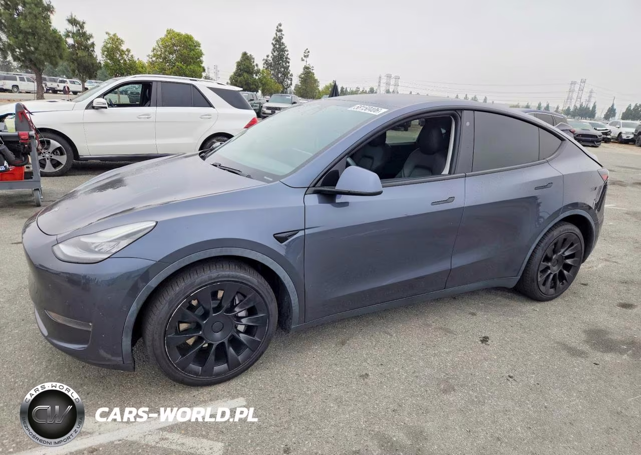 2020 Tesla Model Y