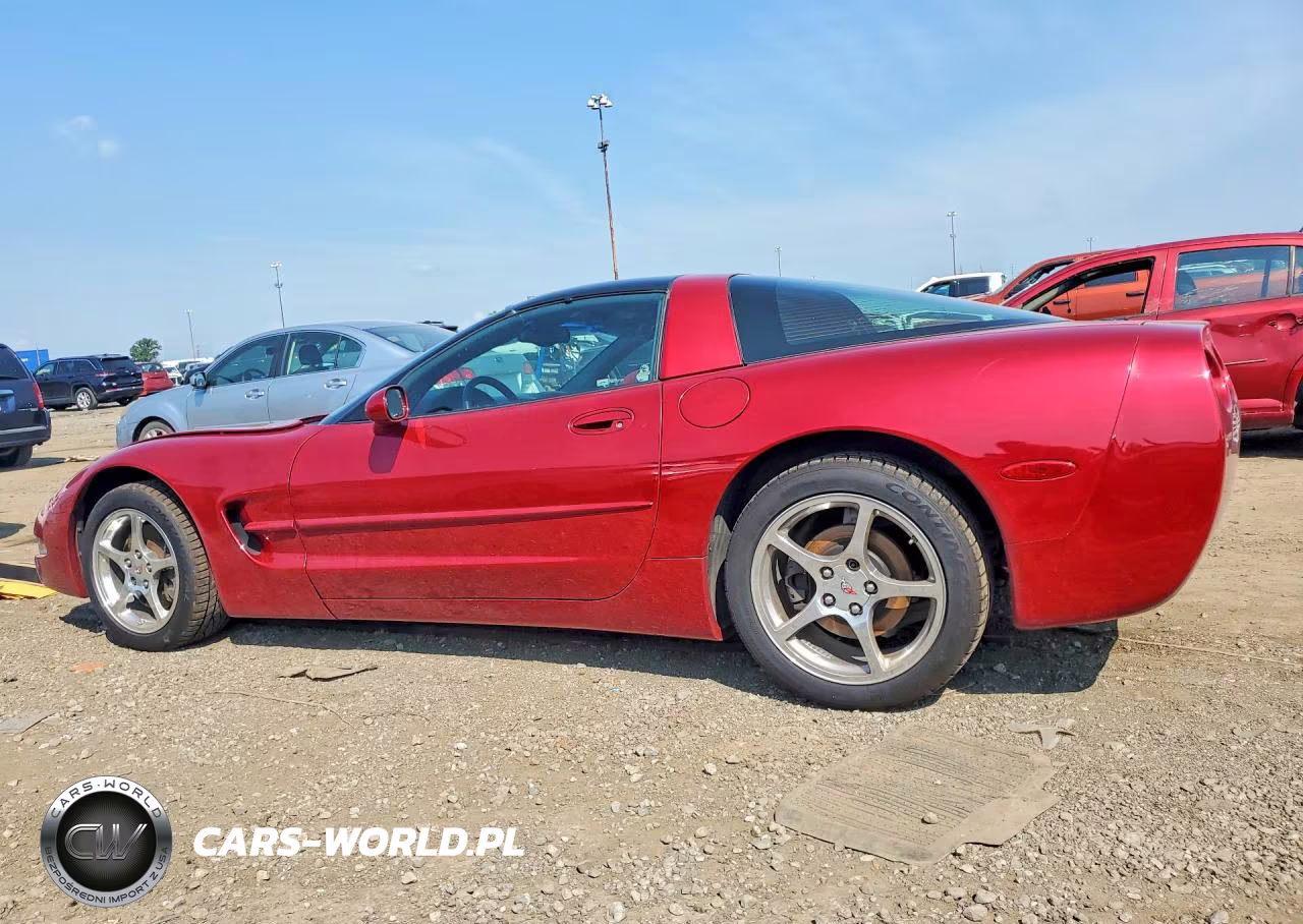 2002 Chevrolet Corvette VIN:1G1YY22GX25131842 - 2