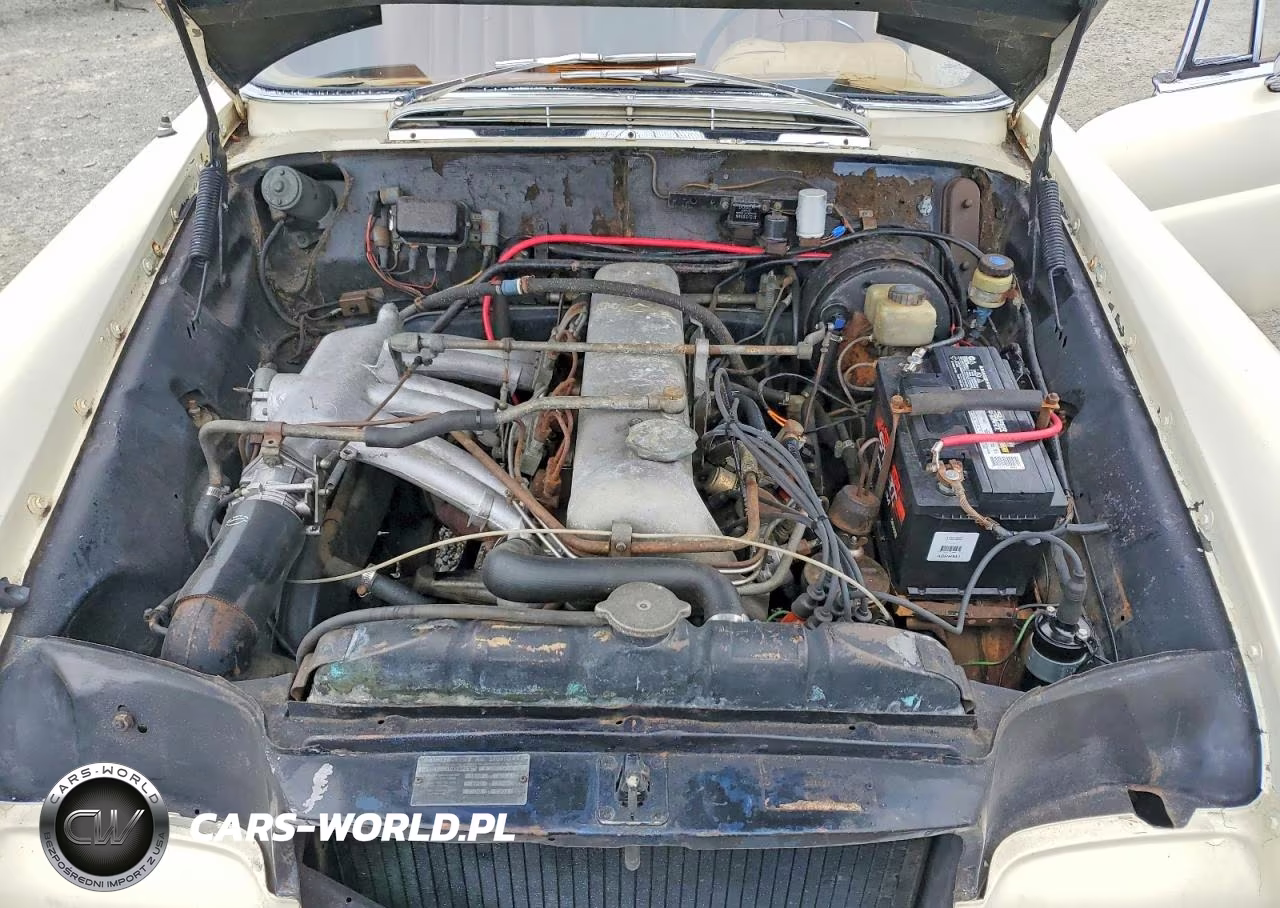 1963 Mercedes-Benz 220 VIN:11102110072559 - 11
