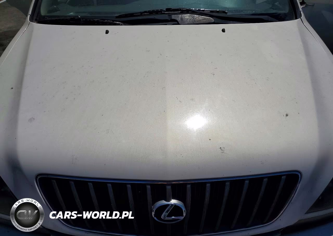 2000 Lexus Rx 300 VIN:JT6HF10U4Y0141084 - 12