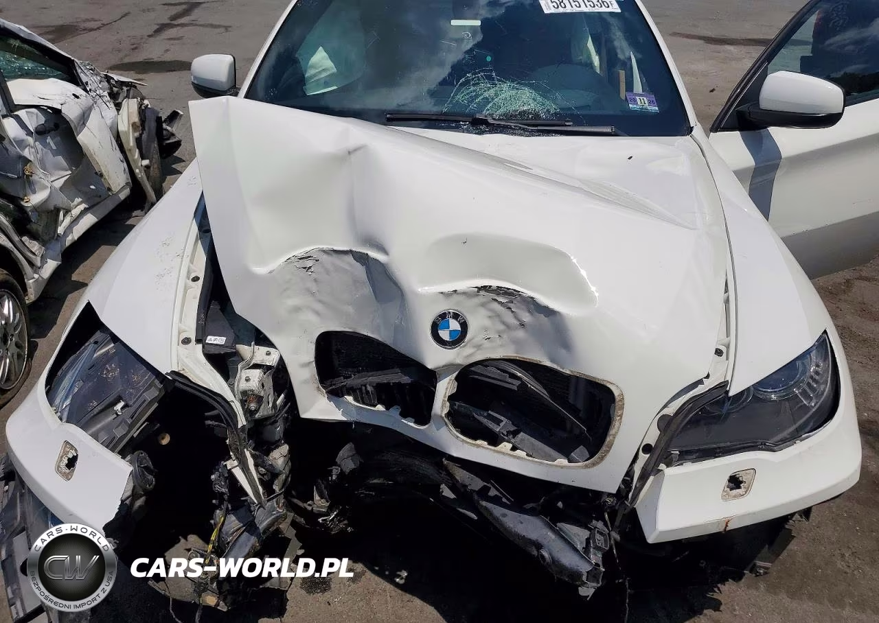 2013 BMW X6 xDrive35I VIN:5UXFG2C54DL782735 - 11