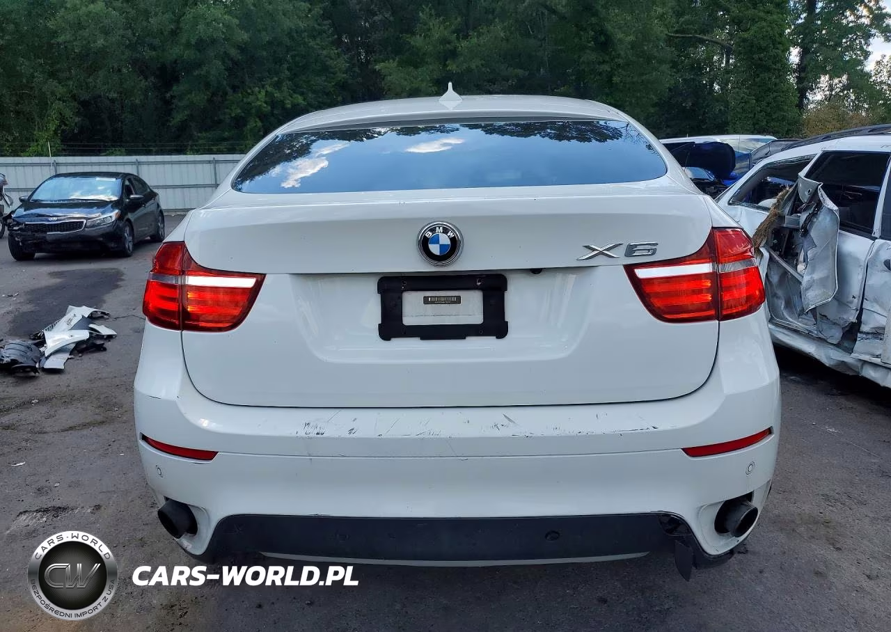 2013 BMW X6 xDrive35I VIN:5UXFG2C54DL782735 - 6