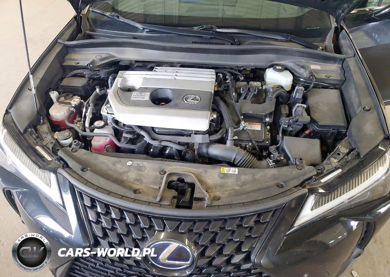 2021 Lexus Ux 250H VIN:JTHP9JBH8M2045547 - 12