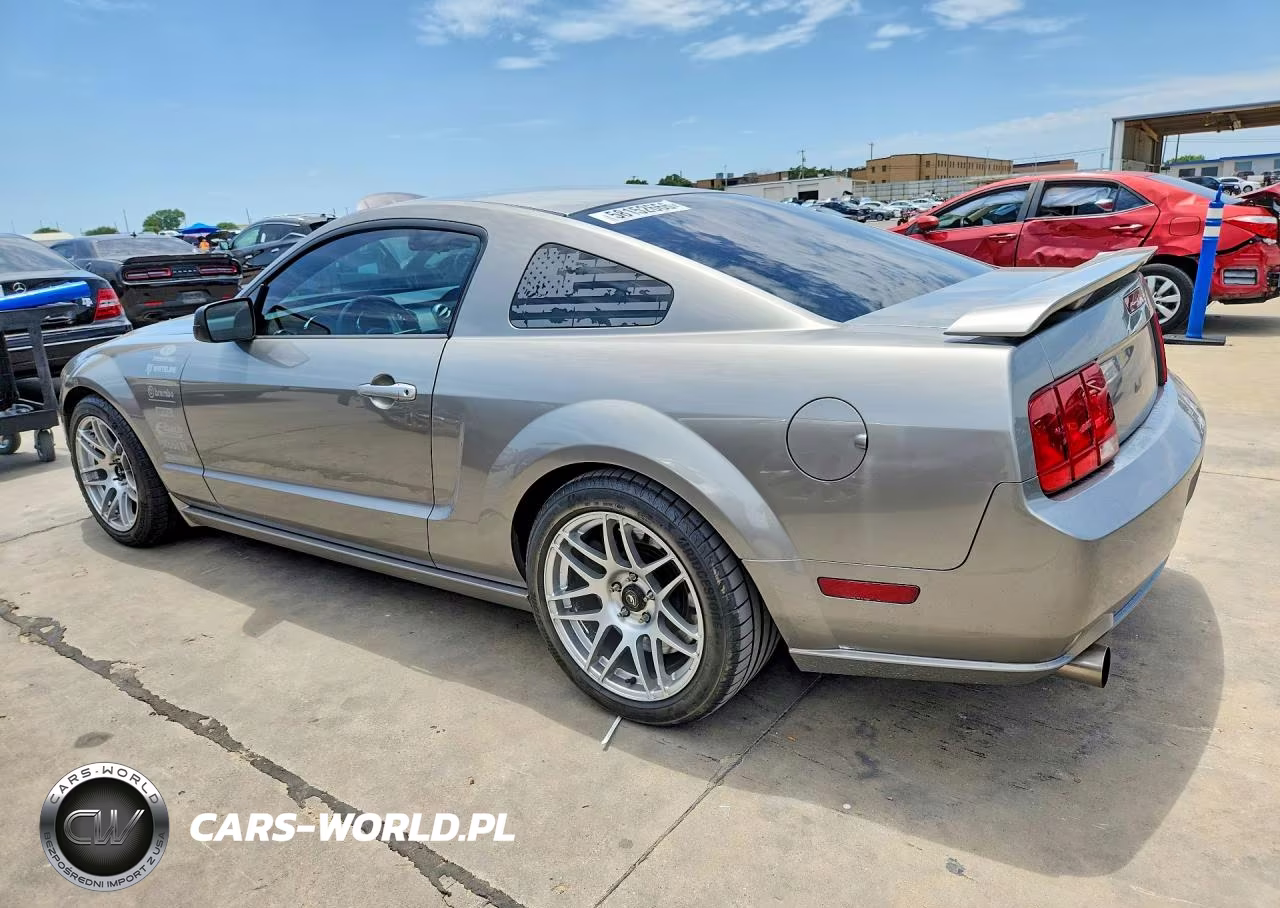 2009 Ford Mustang Gt VIN:1ZVHT82H695106879 - 2