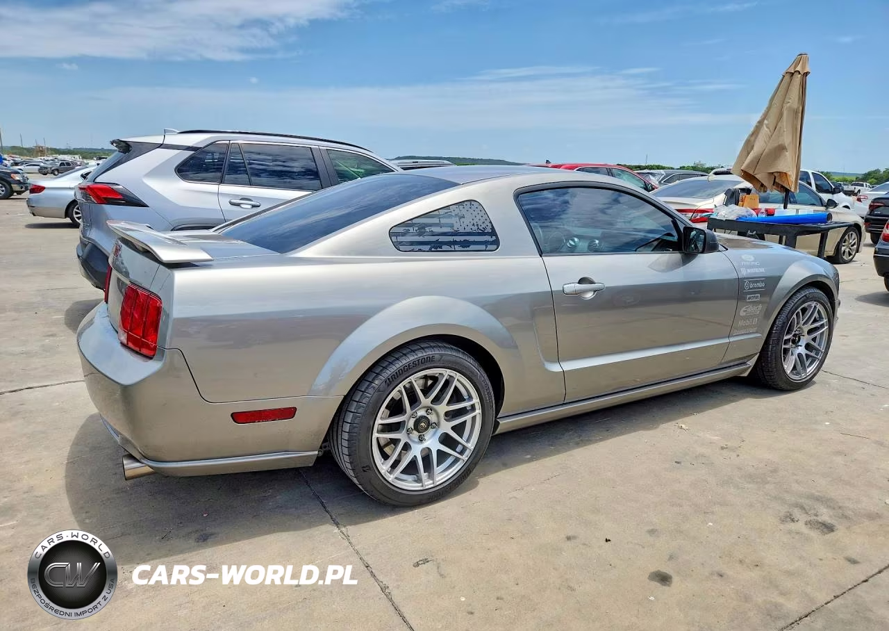 2009 Ford Mustang Gt VIN:1ZVHT82H695106879 - 3