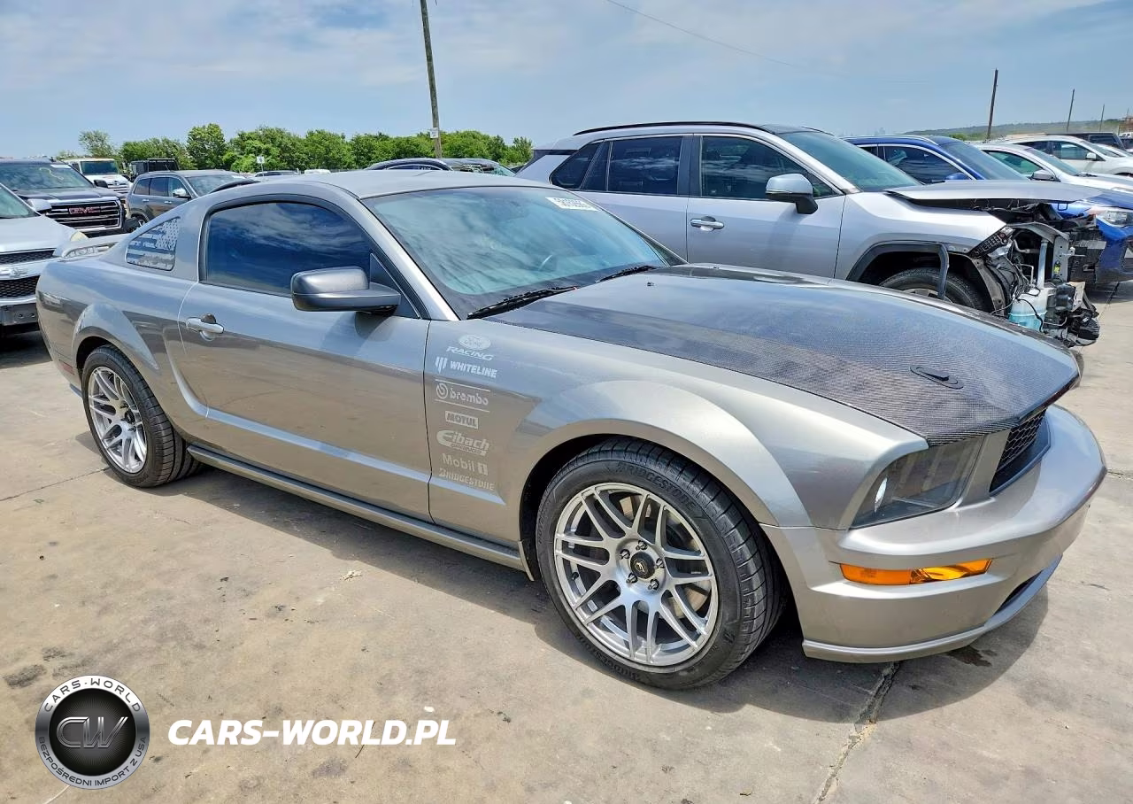 2009 Ford Mustang Gt VIN:1ZVHT82H695106879 - 4