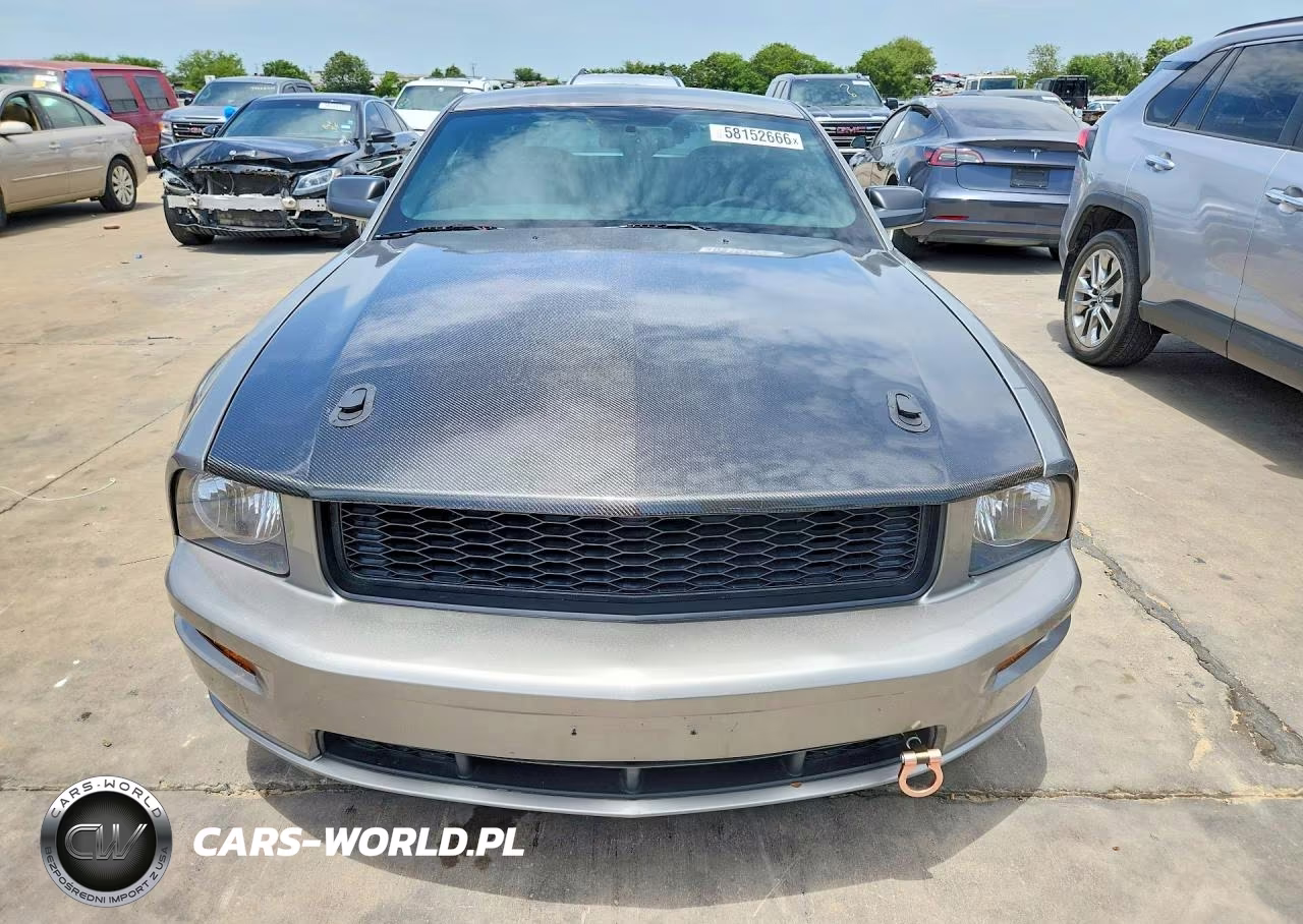 2009 Ford Mustang Gt VIN:1ZVHT82H695106879 - 5