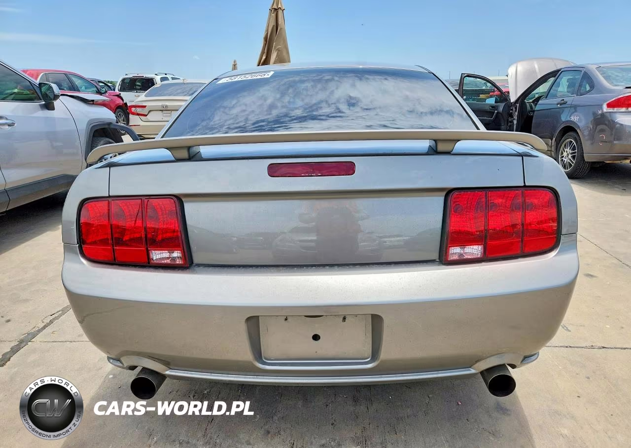 2009 Ford Mustang Gt VIN:1ZVHT82H695106879 - 6