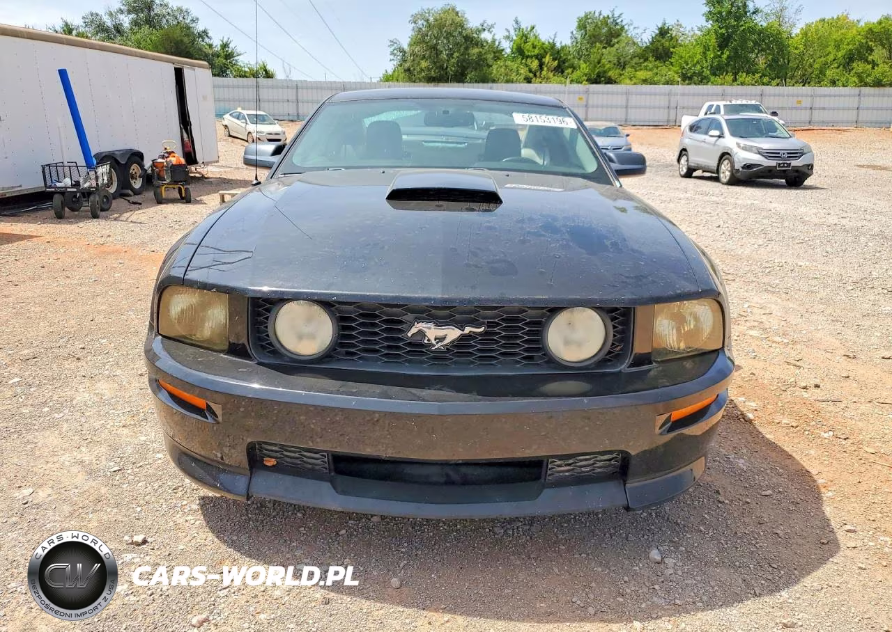 2007 Ford Mustang Gt VIN:1ZVHT82H275226451 - 5