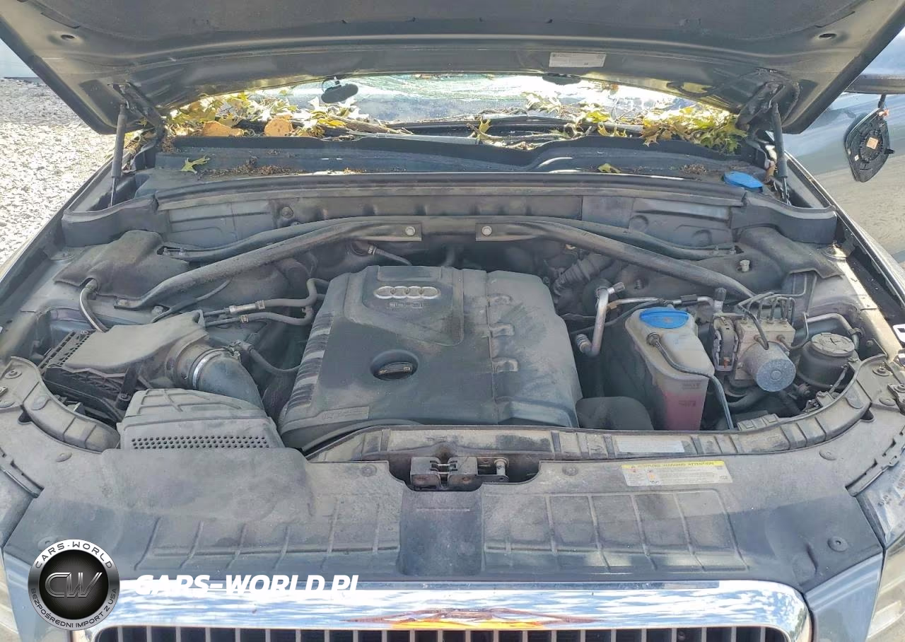 2012 Audi Q5 Premium Plus VIN:WA1LFAFP8CA046822 - 12