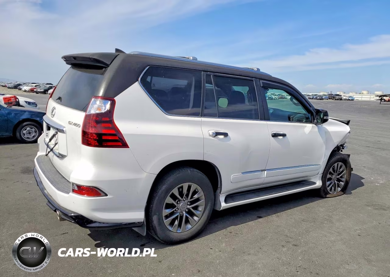 2018 Lexus Gx 460 Premium VIN:JTJJM7FX0J5201758 - 3