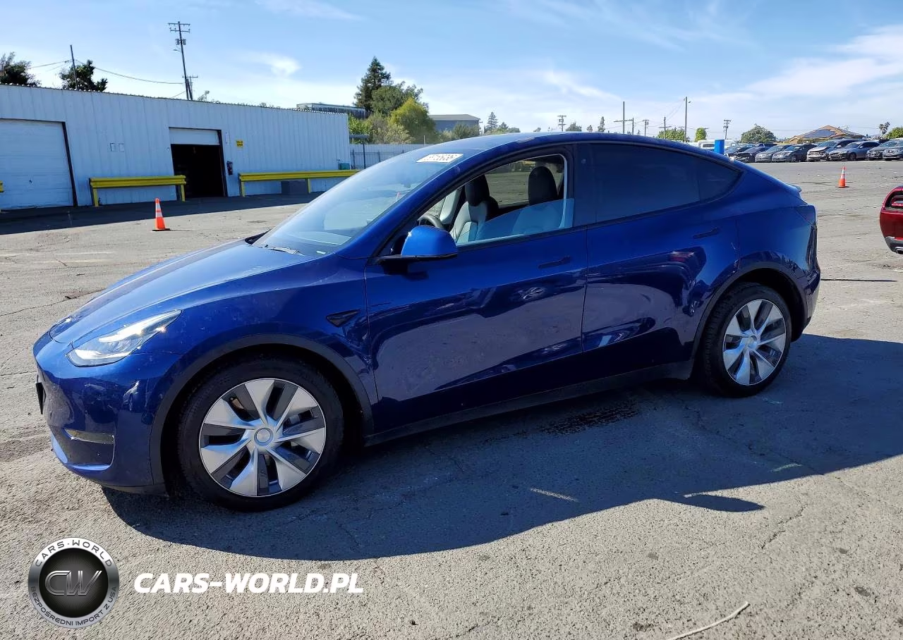 2020 Tesla Model Y