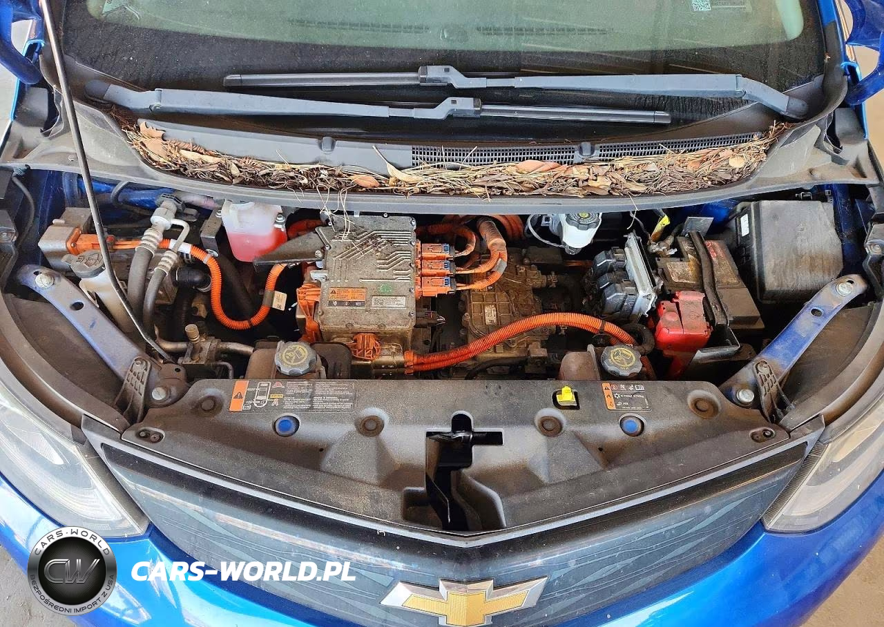 2017 Chevrolet Bolt Ev Lt VIN:1G1FW6S08H4135300 - 11