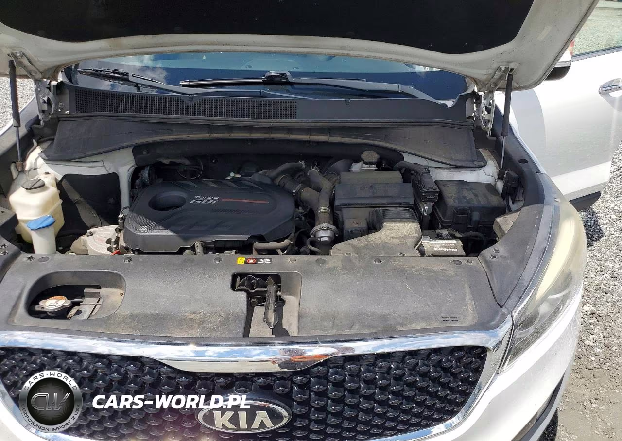 2016 Kia Sorento Ex VIN:5XYPH4A11GG149835 - 12