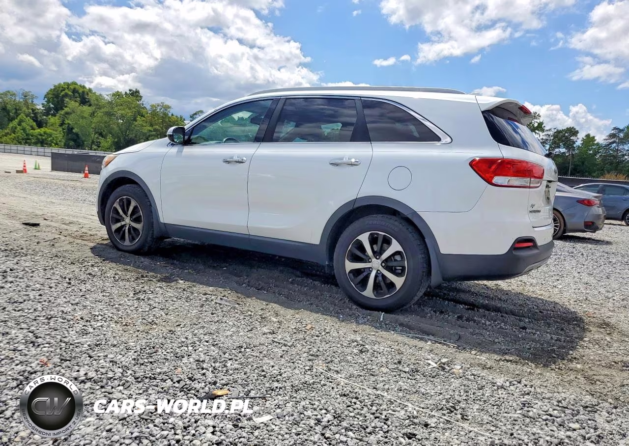 2016 Kia Sorento Ex VIN:5XYPH4A11GG149835 - 2