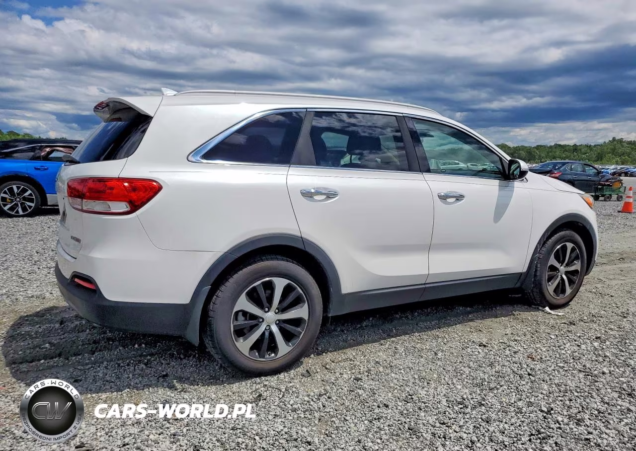 2016 Kia Sorento Ex VIN:5XYPH4A11GG149835 - 3