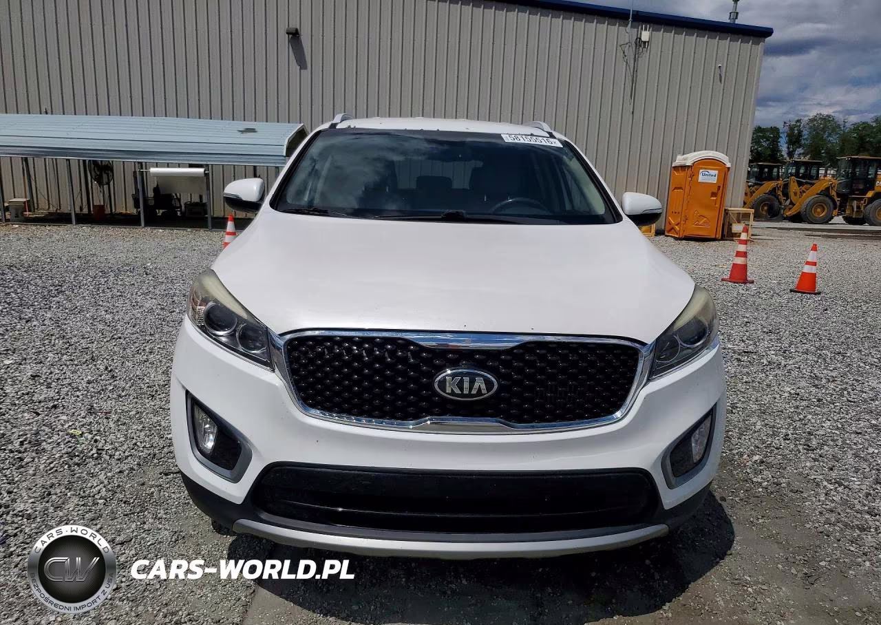 2016 Kia Sorento Ex VIN:5XYPH4A11GG149835 - 5