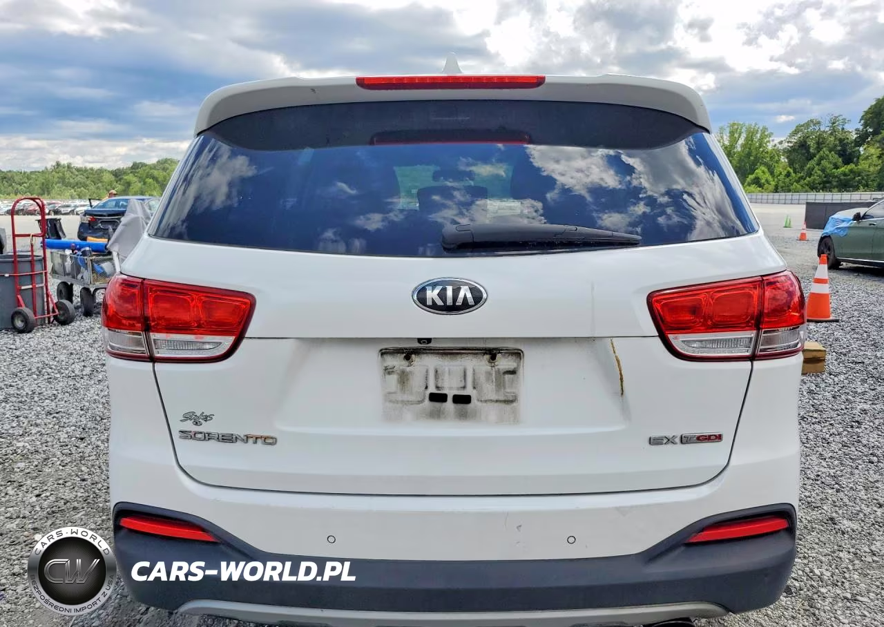 2016 Kia Sorento Ex VIN:5XYPH4A11GG149835 - 6