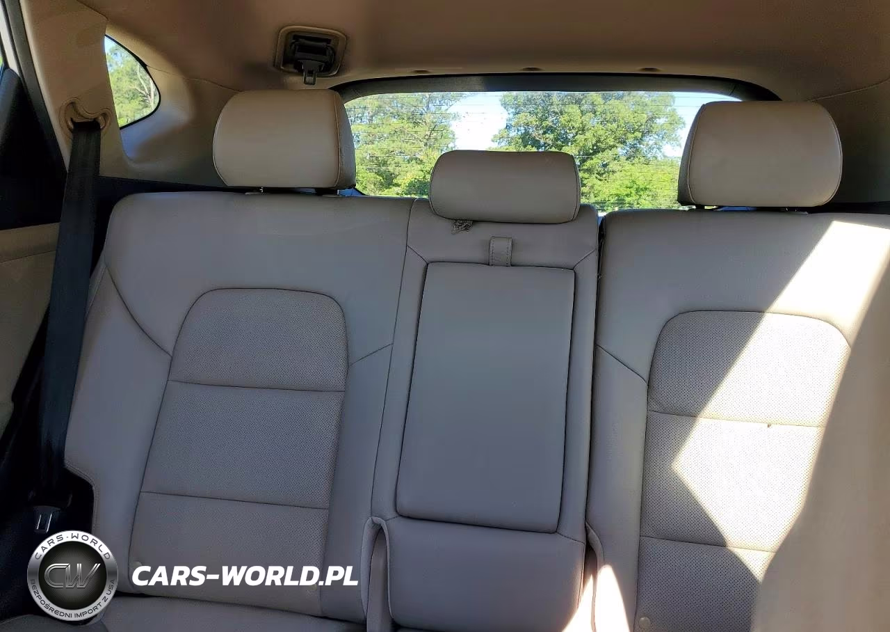 2017 Hyundai Tucson Limited VIN:KM8J3CA2XHU273170 - 10