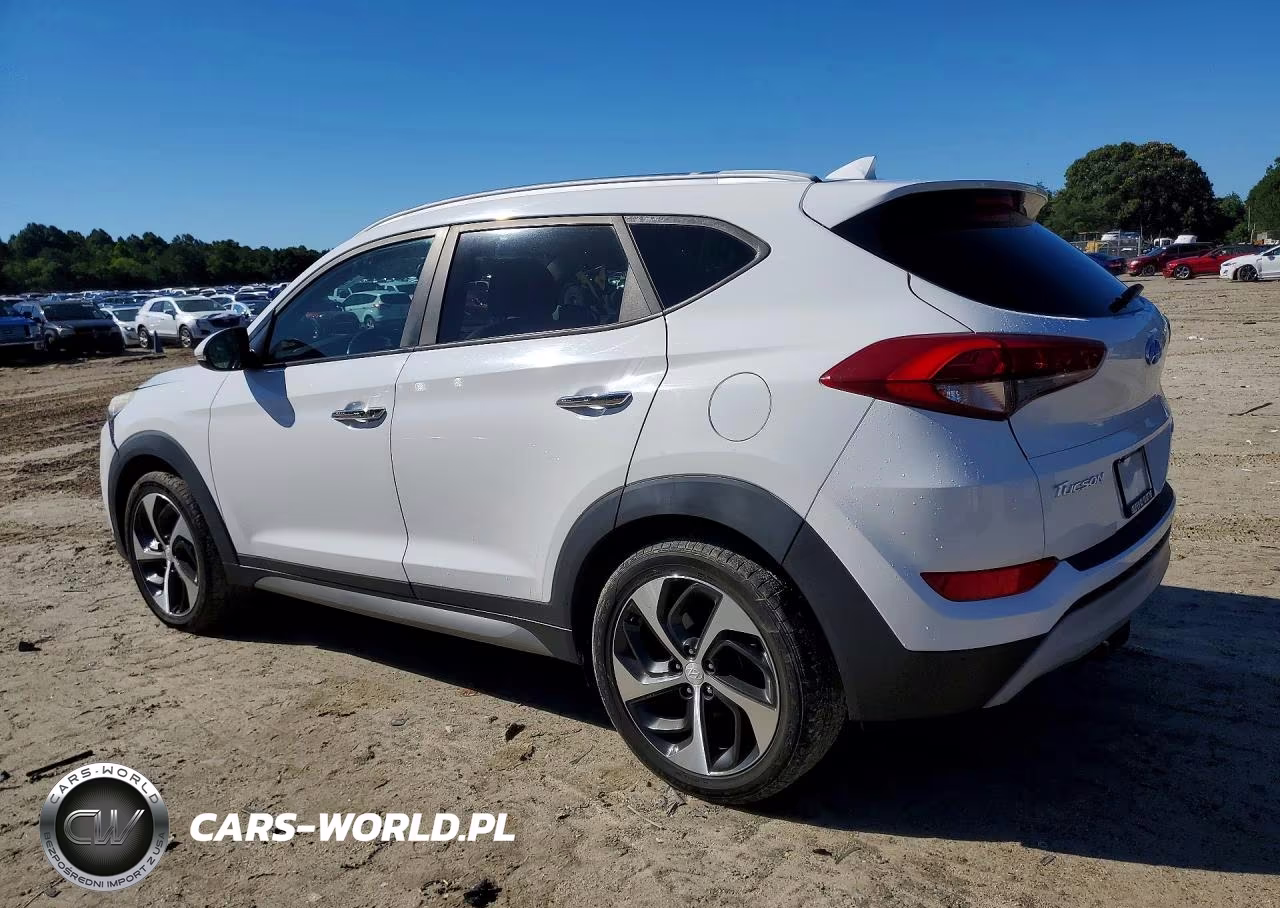 2017 Hyundai Tucson Limited VIN:KM8J3CA2XHU273170 - 2