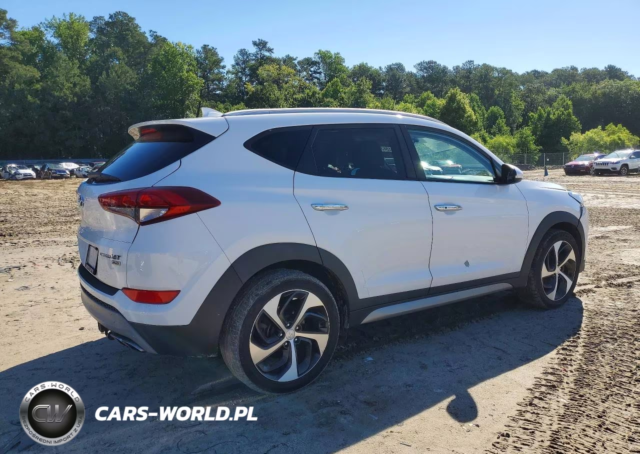 2017 Hyundai Tucson Limited VIN:KM8J3CA2XHU273170 - 3