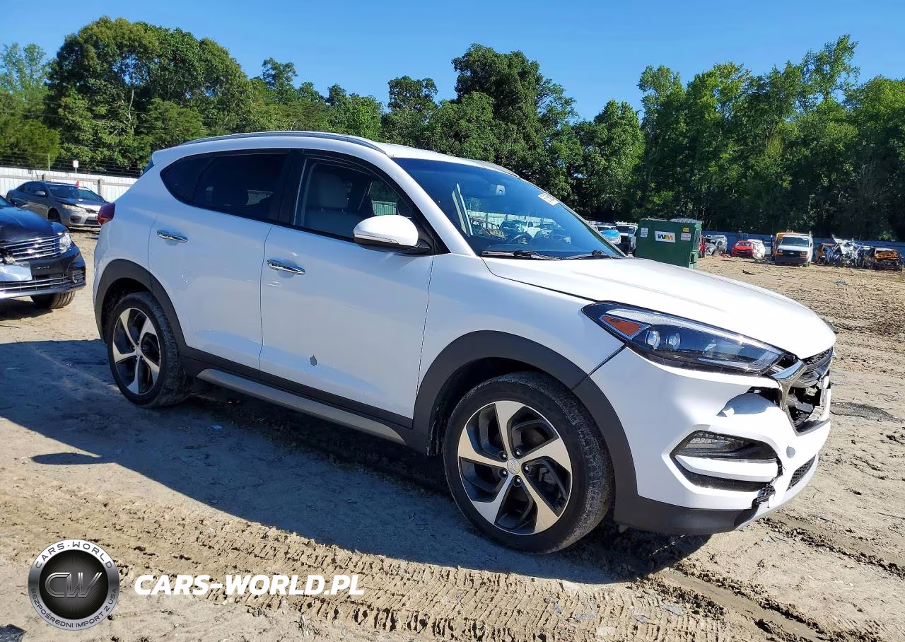 2017 Hyundai Tucson Limited VIN:KM8J3CA2XHU273170 - 4