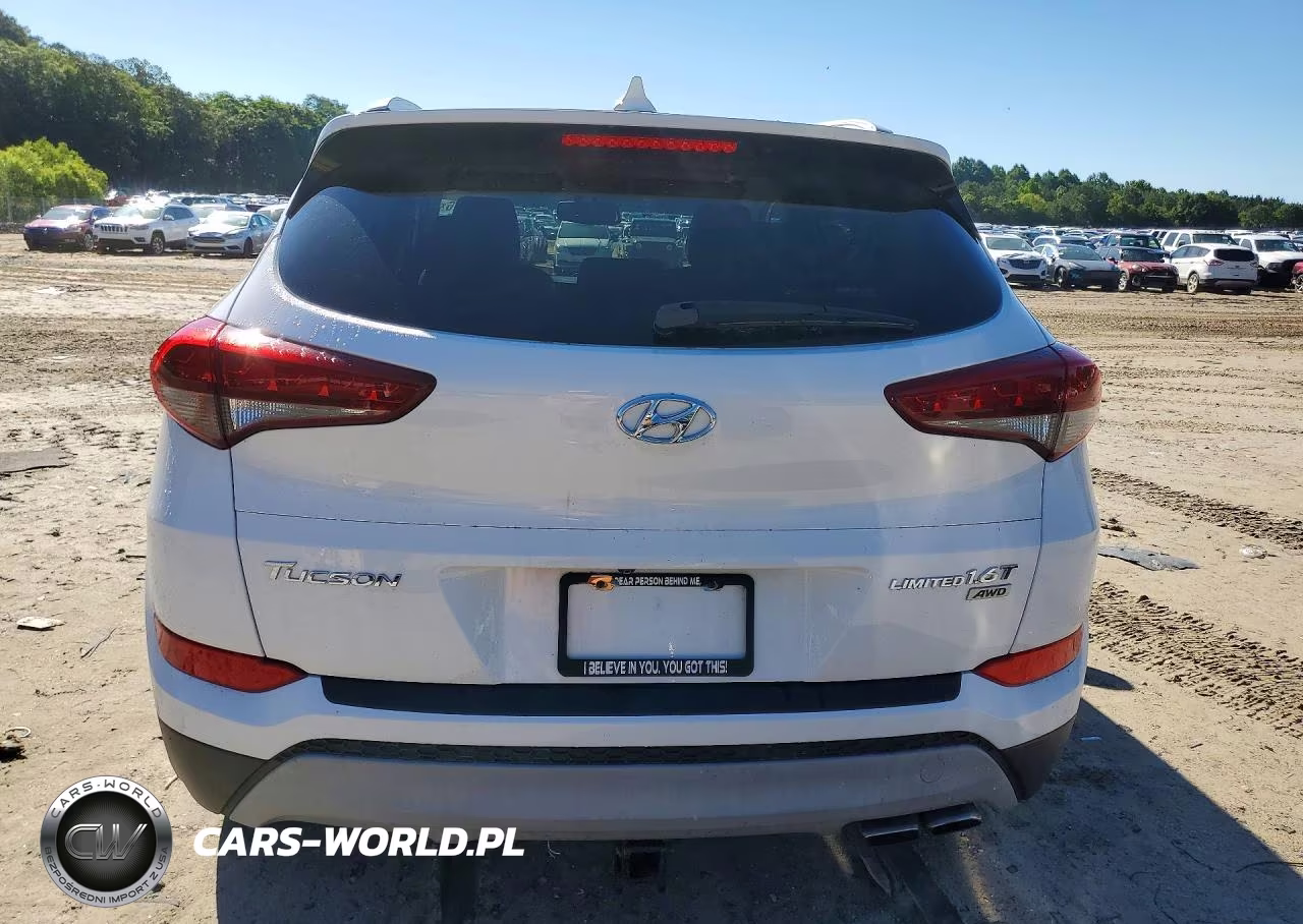 2017 Hyundai Tucson Limited VIN:KM8J3CA2XHU273170 - 6