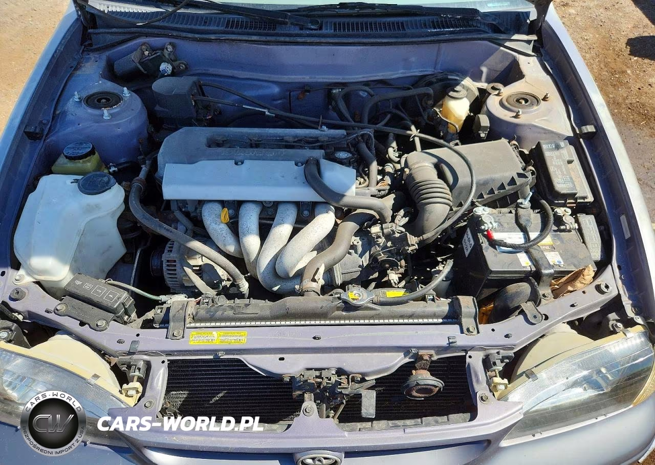 1998 Toyota Corolla Ve VIN:2T1BR18E1WC022379 - 11