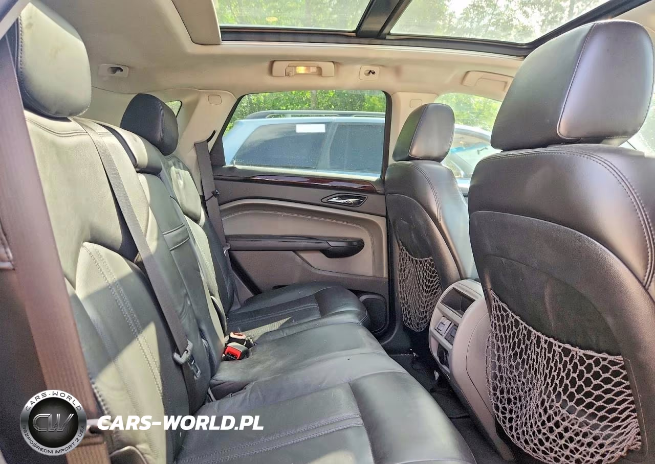 2010 Cadillac Srx Luxury Collection VIN:3GYFNDEY0AS541135 - 11