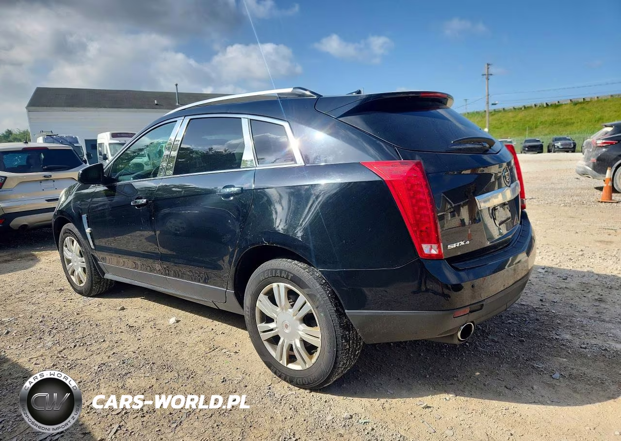 2010 Cadillac Srx Luxury Collection VIN:3GYFNDEY0AS541135 - 2